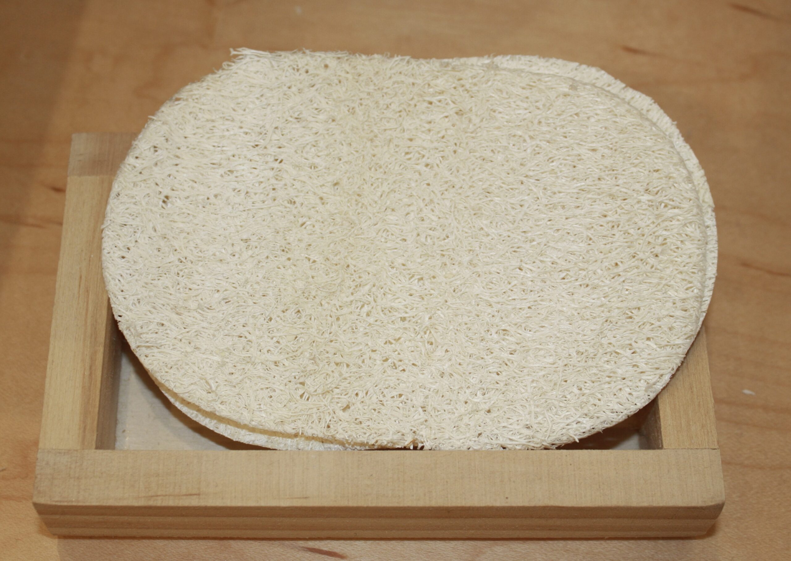 Loofah Sponge